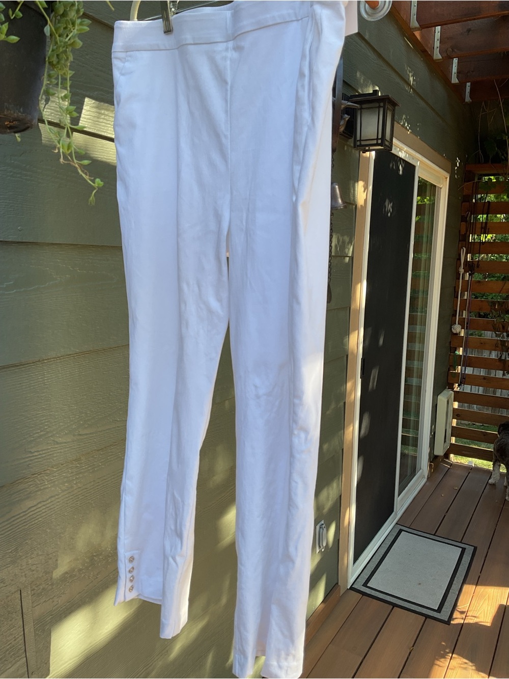 Counterparts White Mid Rise Boot-Cut Pants